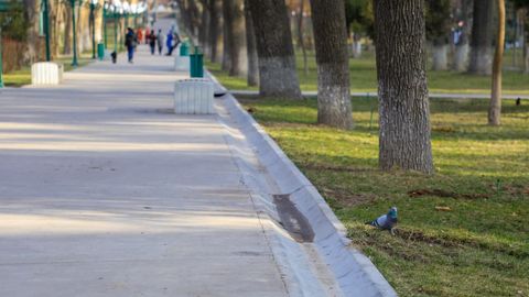 Shavkat Mirziyoyev: “Sug‘orish tizimi izdan chiqqani bois 60–70 foiz daraxtlar qurib qolmoqda”