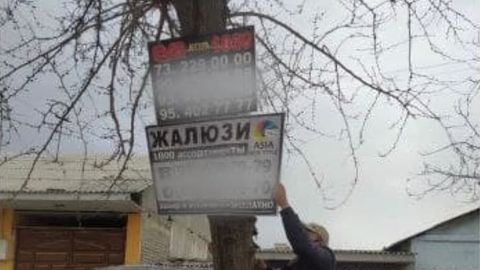 Истеъмолчилар ҳуқуқларини ҳимоя қилиш агентлиги: Дарахтлар – реклама жойи эмас!