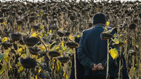 Россияда МДҲ мамлакатларидан келган ноқонуний муҳожирлар сони 700 мингдан ошди