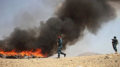 “Tolibon” Afg‘onistonda giyohvand moddalar ishlab chiqarish to‘xtatilishni va’da qildi. Bu ular uchun endi eng asosiy daromad manbai emas. Biroq toliblar va’dasini bajarmasligining ehtimoli yuqori