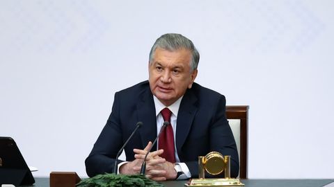 Шавкат Мирзиёев: «Дарахтларнинг кесилиши халқимизнинг ўпкасига зарар қилмоқда»