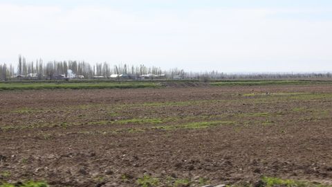 O‘zbekistondagi 200 ming gektar past hosilli paxta va g‘alla maydoni aholiga tanlov asosida, uzoq muddatli ijaraga beriladi