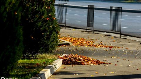 O‘zbekistonda 9-sentabrdan havo harorati pasayishni boshlaydi