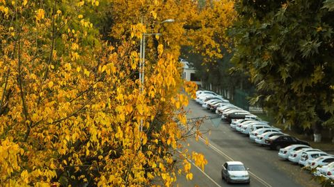 Ўзбекистонда дам олиш кунидан бошлаб ҳаво сезиларли даражада салқинлашади