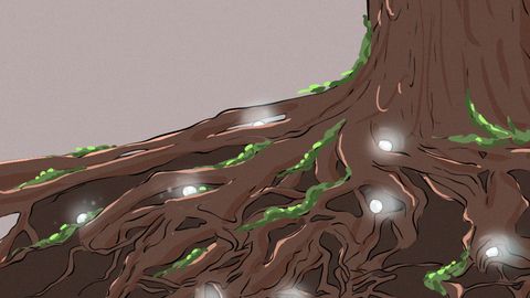 Uch daryodan suv ichgan dengiz