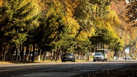 “O‘zgidromet” 4-oktabr kuni qanday ob-havo bo‘lishini ma’lum qildi