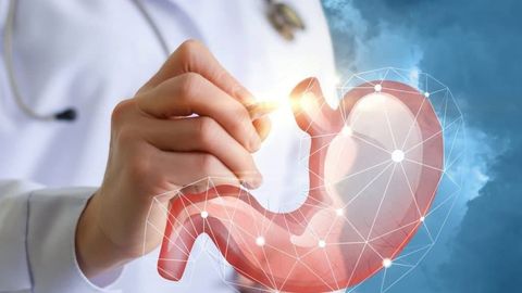 Gastroenterologdan tavsiya: hazm jarayoni me’yorda bo‘lishi uchun taomnomaga kiritish kerak bo‘lgan 8 mahsulot