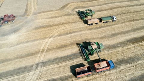 Ўзбекистон Россиядан қишлоқ хўжалиги маҳсулотларини етиштириш учун 1 млн гектар ер ижарага олмоқчи