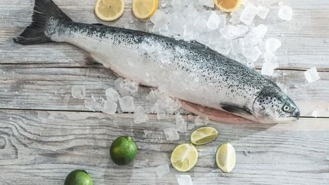 Muzlatilgan mahsulotlarni to‘g‘ri eritish bo‘yicha tavsiyalar