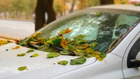 O‘zbekistonda 8-noyabr kuni kutilayotgan ob-havo ma’lumoti e’lon qilindi