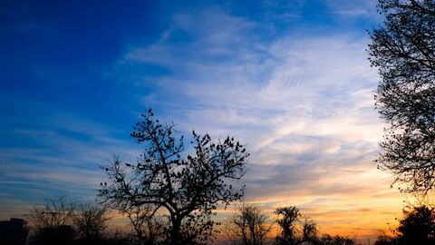 O‘zbekistonda 24-noyabr kuni qanday ob-havo kuzatilishi ma’lum qilindi