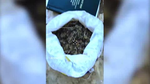 Toshkent viloyatida 4 kg giyohvand modda saqlayotgan erkak aniqlandi, IIB xodimiga ishni yopish uchun pora bergan o‘g‘li esa qo‘lga olindi