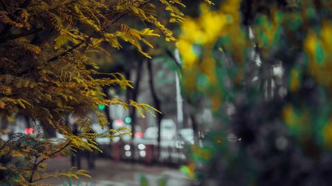 Ўзбекистоннинг айрим ҳудудларида 23 ноябрь куни ёмғир ёғади