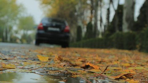 Ўзбекистонда дам олиш куни ҳаво совуқлашиб, айрим ҳудудларда ёмғир ёғади
