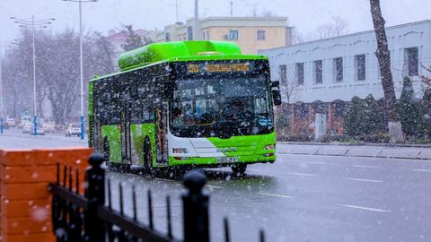 Байрам кунлари Тошкент жамоат транспорти ҳаракати қандай ташкил этилиши маълум қилинди