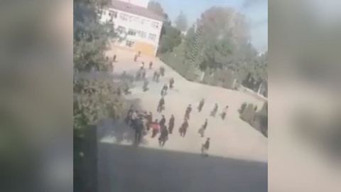 Termiz davlat universiteti hududida ommaviy mushtlashuv bo‘lgani aytilmoqda. Holat bo‘yicha ma’lumot berildi