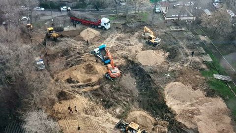 Toshkentda 81 ta daraxtning kesilishiga oid tergov ishi qayta tiklandi