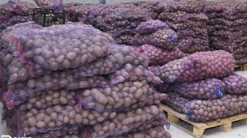 O‘zbekiston Erondan import qilingan 3,5 ming tonna kartoshkani qaytarib yubordi
