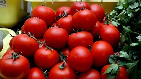 O‘zbekistonda noyabr oyida pomidor narxlari 54 foizga qimmatlashdi