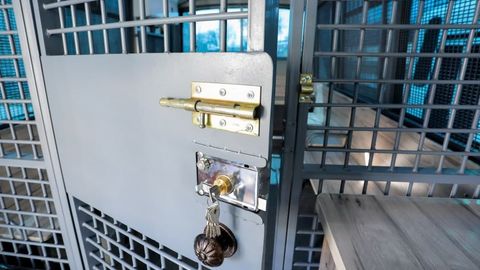 Jizzaxda mahkum o‘zini Prezident Administratsiyasi xodimi deb tanishtirib, jinoyat sodir etdi