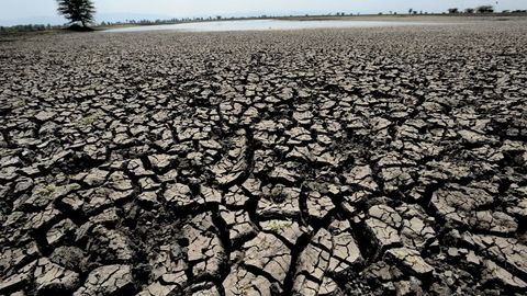 Butun dunyo yoshlari iqlim o‘zgarishi sabab insoniyat kelajagini pessimistik baholadi