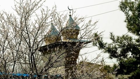 Бекобод тумани бош имом-хатиби вафот этди