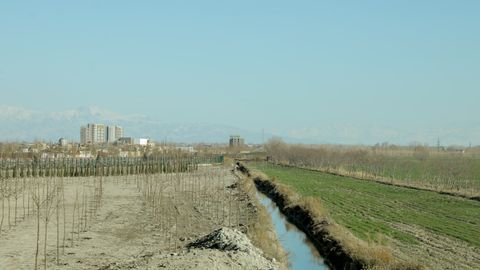 Toshkent viloyatida yer sotishda sheriklik qilgan kadastr xodimlari qo‘lga tushdi