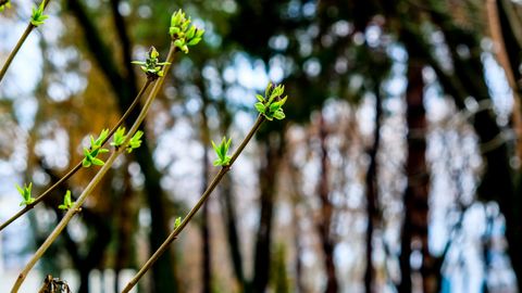 O‘zbekistonda 19-may kuni qanday ob-havo bo‘lishi ma’lum qilindi