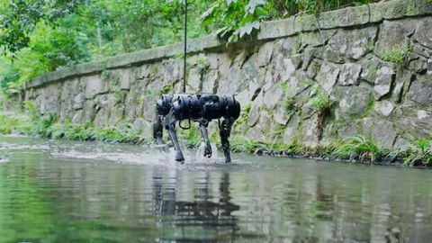 Xitoyda ixtiro qilingan robot-it suv ostida suzishni o‘rganib oldi (video)