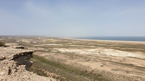 “O‘zbekistonning 70 foiz yerlari qurg‘oqchil maydonlardan iborat” — O‘rmon xo‘jaligi davlat qo‘mitasi