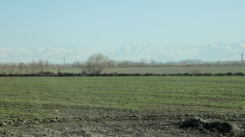 O‘zbekistondagi 160 ming gektar paxta maydonlarida tomchilab sug‘orish joriy qilish vazifasi qo‘yildi