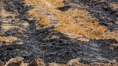 Bug&lsquo;doydan bo&lsquo;shagan maydonlarni yoqish katta iqtisodiy zarar keltirmoqda &mdash; Qishloq xo&lsquo;jaligi vazirligi