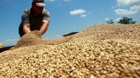 Грузия бир йилга буғдой ва арпа экспортини тақиқлайди