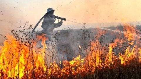 Ёқутистонда ўрмон ёнғинлари туфайли фавқулодда вазият режими эълон қилинди