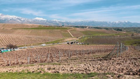 Ўзбекистонда ер участкасини ўзбошимчалик билан эгаллаш билан боғлиқ 24 мингдан ортиқ ҳолат аниқланди