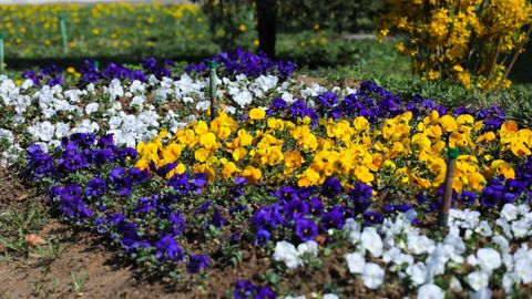 Ўзбекистонда ҳафта давомида қандай об-ҳаво кутилмоқда?