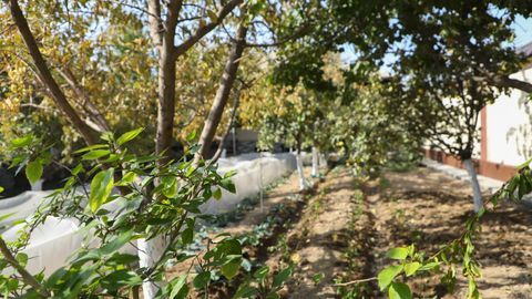 O‘zbekistonda birinchi marta yer xususiylashtirildi