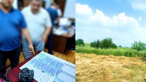 Toshkent viloyatida 2 gektar yerni 140 ming dollarga sotmoqchi bo‘lgan shaxslar ushlandi (video)