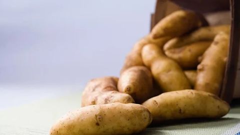 Xom kartoshka teri holatini yaxshilashi mumkinligini bilasizmi?