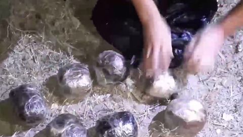 DXX Samarqandda 16 kiloga yaqin opiyni sotishga uringan “savdogarlar”ni qo‘lga oldi (video)