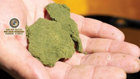 Фарғонада машинасида гиёҳванд модда сақлаган шахс аниқланди