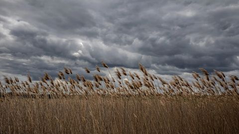 NYT: Ukraina portlari don bitimi doirasida minalardan qisman tozalanadi