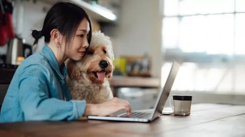 Niderlandiya parlamenti uydan ishlash haqidagi qonunni ma’qulladi. Bunga butun Yevropa ergashishi mumkin