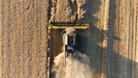 Россиянинг Украинага ракета зарбасидан сўнг жаҳон бозорида буғдой нархи яна кўтарилди