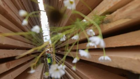 O&lsquo;zbekiston Rossiyadan eng ko&lsquo;p yog&lsquo;och import qilgan mamlakatlar ro&lsquo;yxatiga kirdi