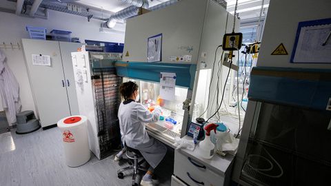 AQSH hukumati maymunchechak tufayli favqulodda holat e’lon qilish masalasini ko‘rib chiqmoqda — WP