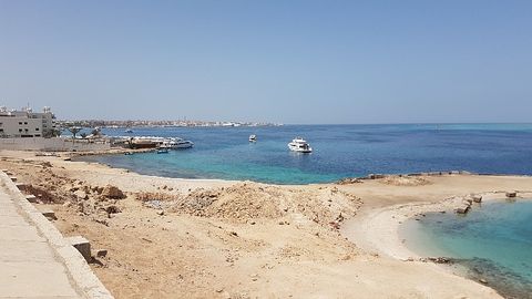 Мисрда акула ҳужумига учраган сайёҳ аёл ҳалок бўлди (видео)