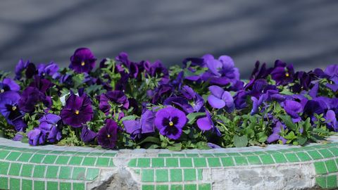 O‘zbekistonda 15-iyul kuni qanday ob-havo kutilayotgani ma’lum qilindi