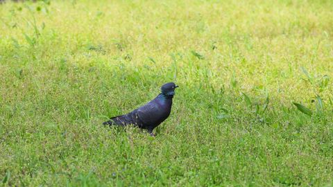 «Ўзгидромет» келаётган ҳафта бошида қандай об-ҳаво бўлишини маълум қилди