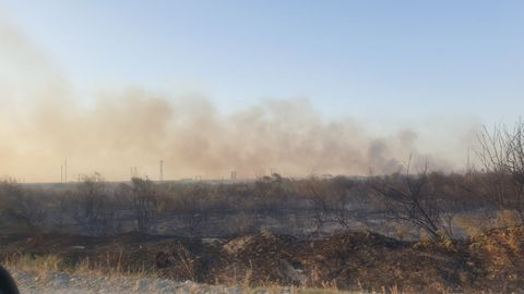 Samarqandda Zarafshon daryosi o‘zanidagi 4 gektar yerda yong‘in chiqdi